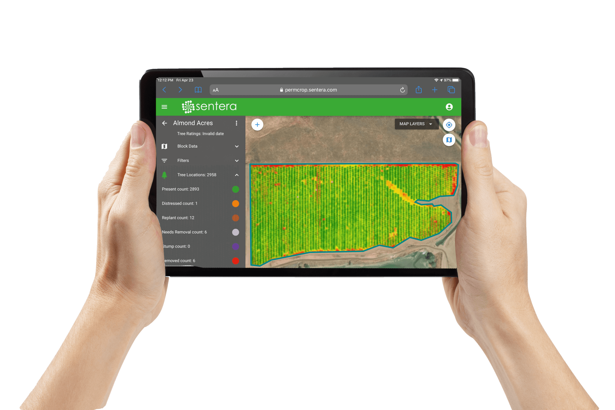 Perm crop demo