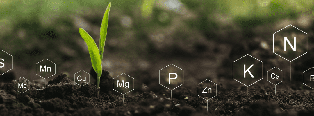 How Multispectral Technology Can Help with Nitrogen Inputs
