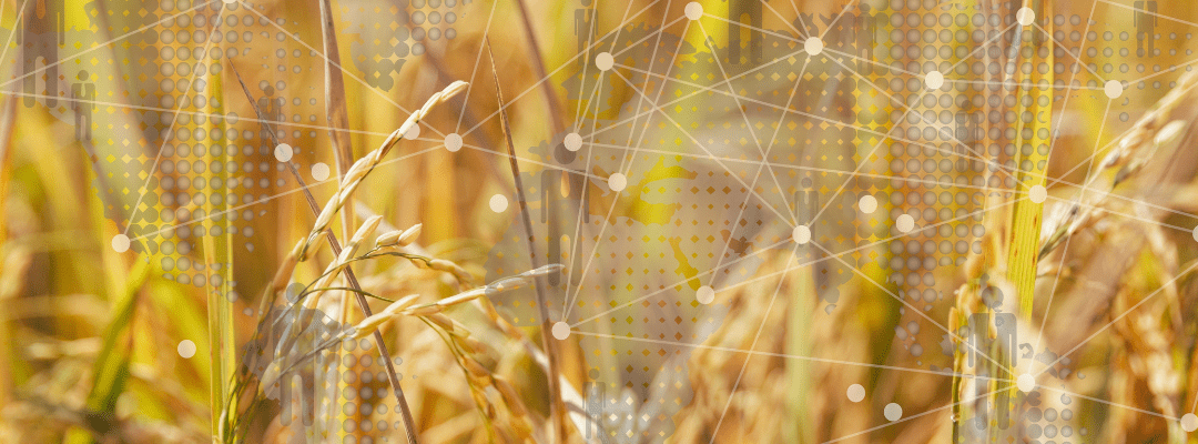 Innovation in the Sky: Going Beyond Crop Health with Key Plant Performance Analytics 