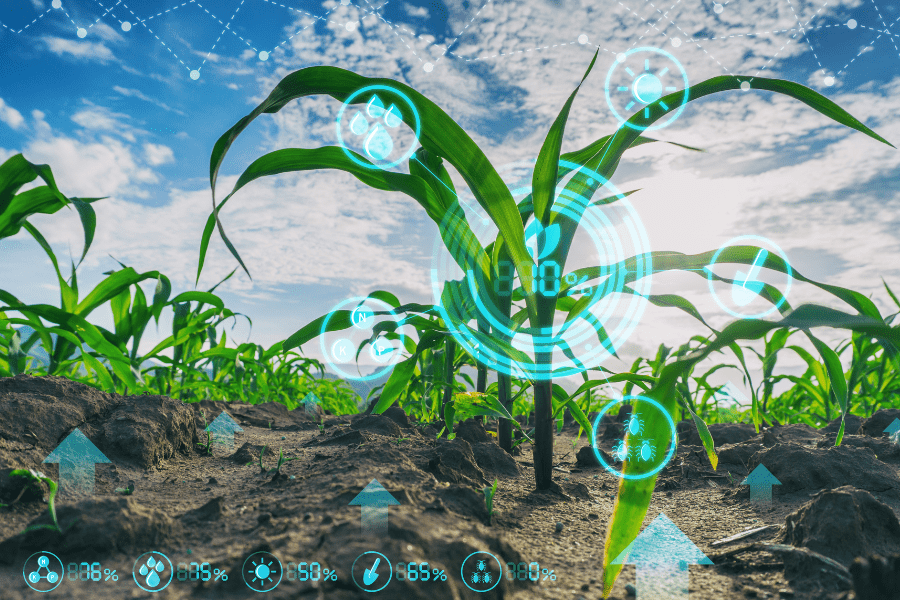 Machine learning is transforming agriculture