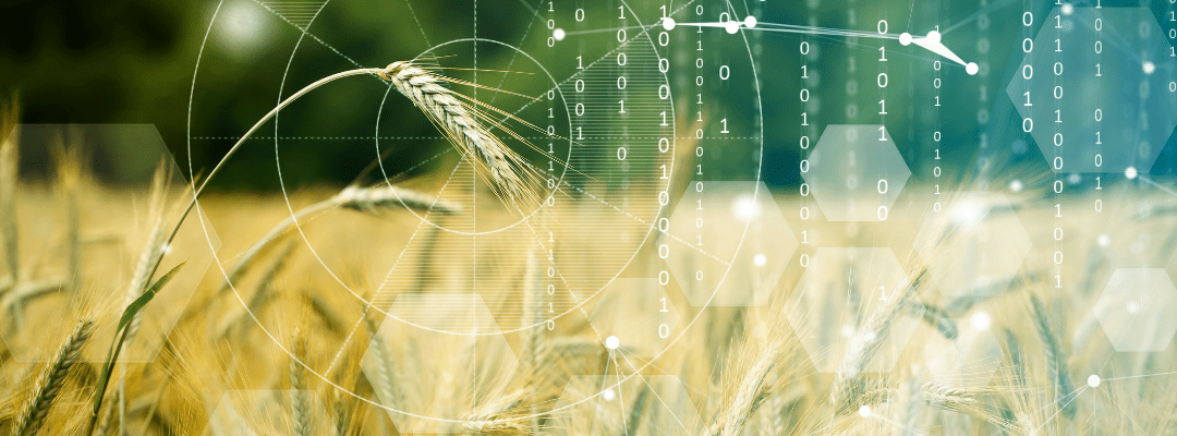 Not All Data is Created Equal: Selecting the Right Image Datasets for Precision Agriculture Applications