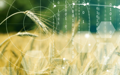 Not All Data is Created Equal: Selecting the Right Image Datasets for Precision Agriculture Applications