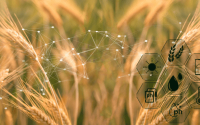 Roadmap for the Upcoming Season: Using Data Analytics in Agriculture
