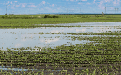 Crop Insights Deep Dive: Elevation and Hydrology Analytics