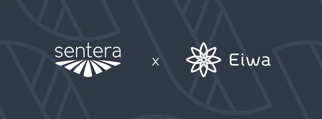 Eiwa, Sentera Announce Commercial Collaboration, Distribution Agreement & Technology