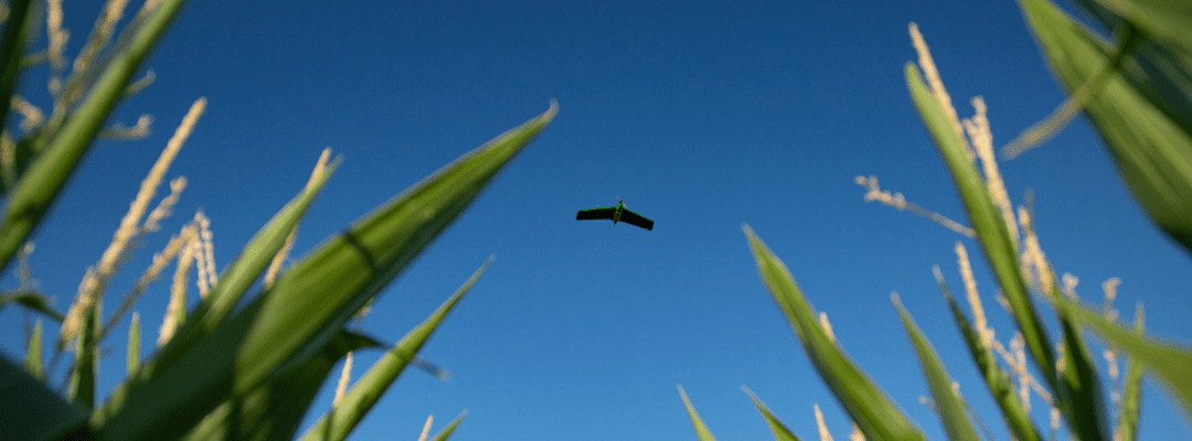 Getting the Most Out of Your Flights with Fixed Wing Drones