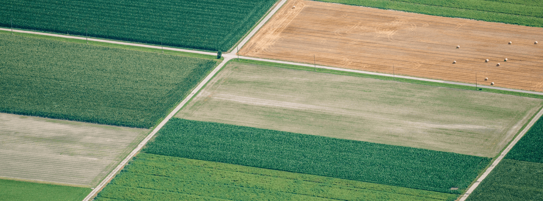 What Are Crop Area Insights?