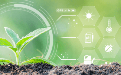 Sustainable Agriculture: Remote Sensing for Optimum Nitrogen Use