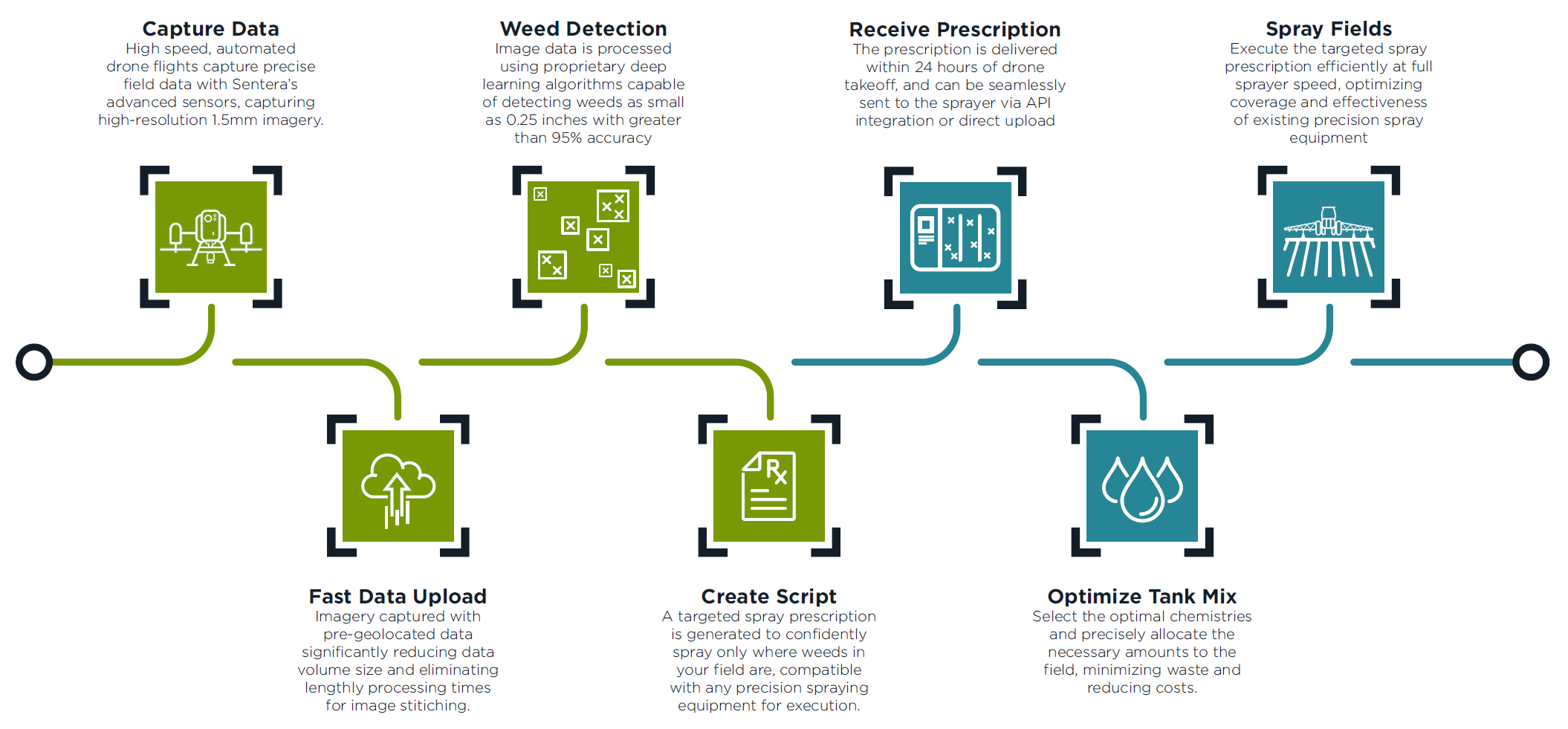 Aerial WeedScout Full Process Diagram
