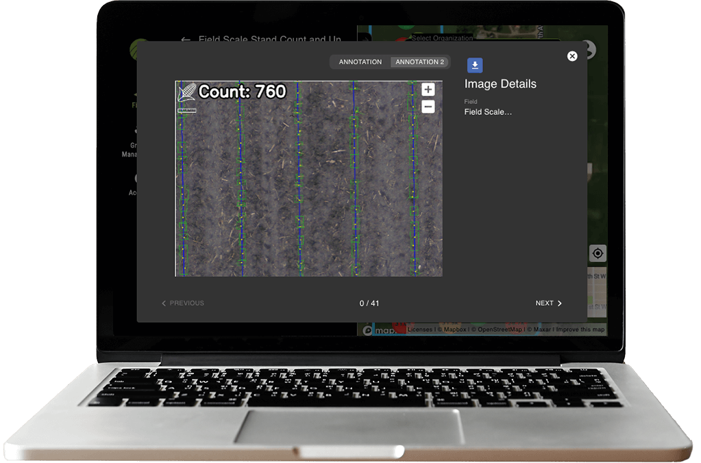 Field Scale Stand Count ad Uniformity view