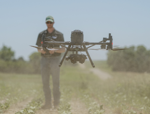 Drone pilot navigating drone over row crop field for Aerial WeedScout analysis