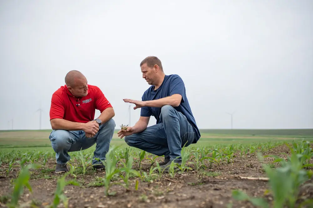 Discussing SmartScript™ Weeds